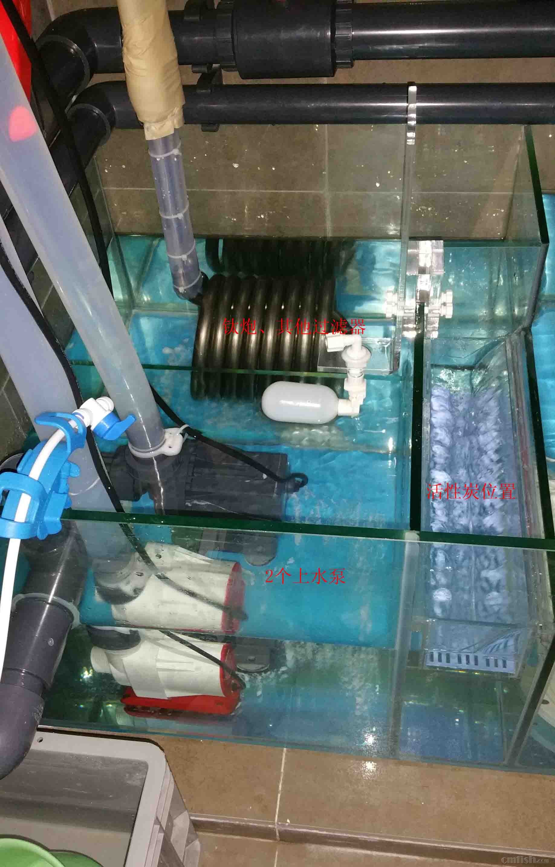 20150423_202417 ����.jpg