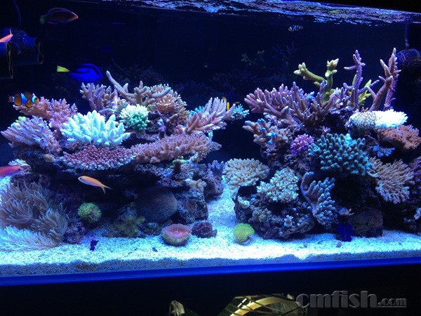 ��Ƭsps 035_kk.jpg