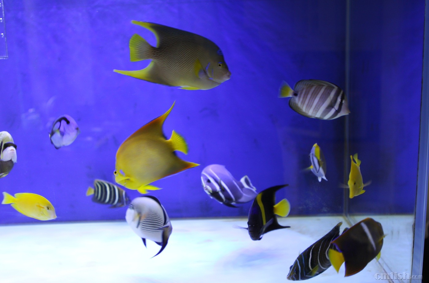 Ů��20  ���� 20