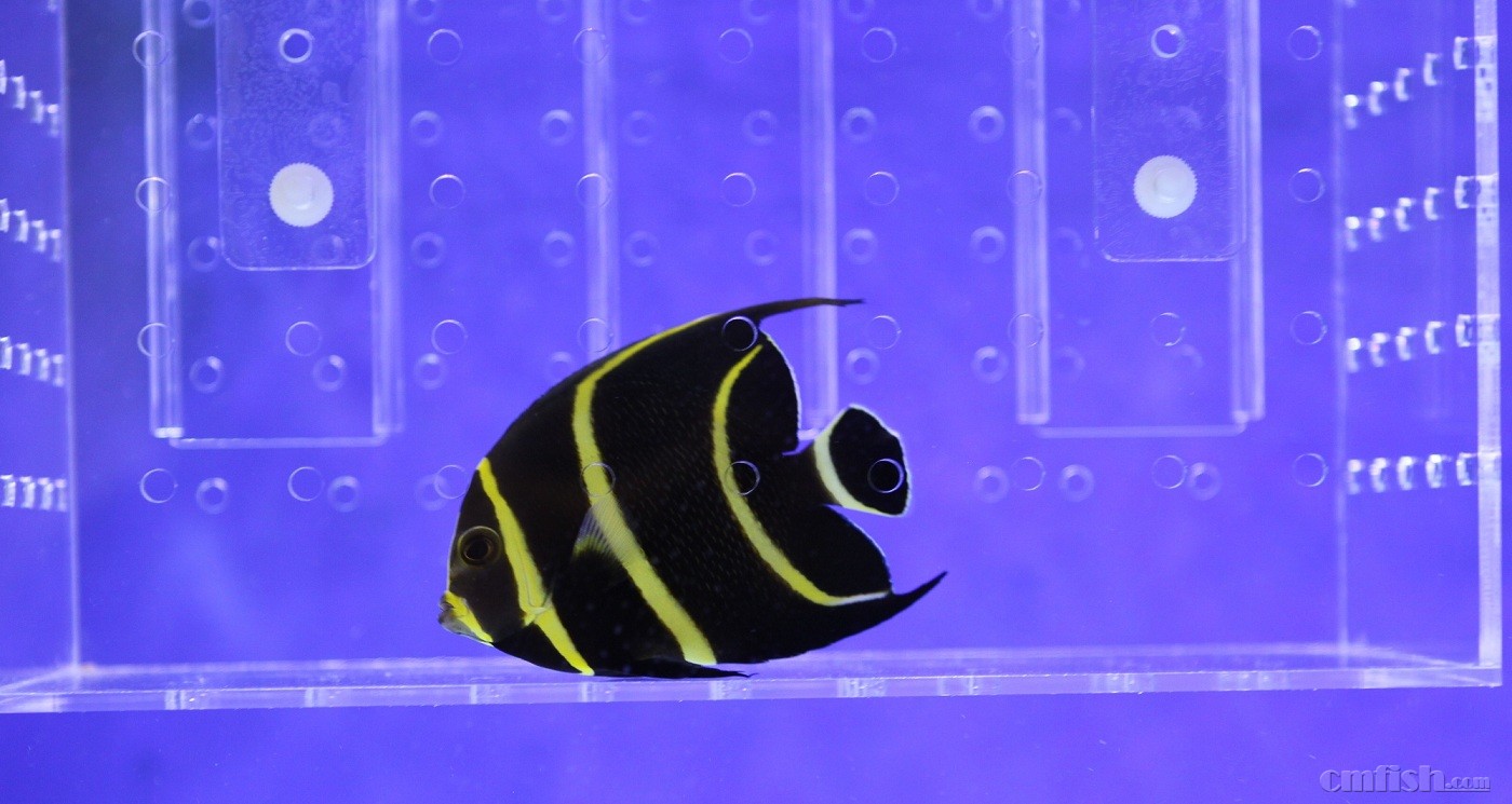 С���� ����������������