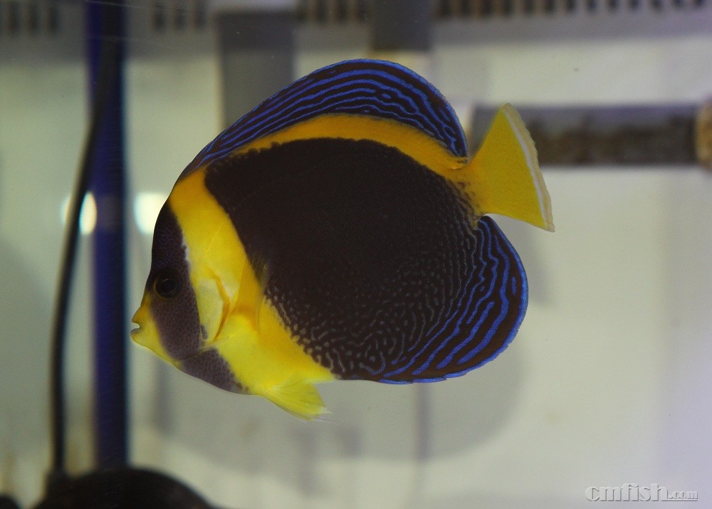 ������16