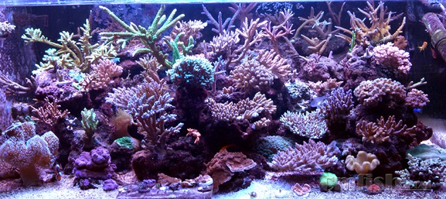 2015-06-04 T5��G3���