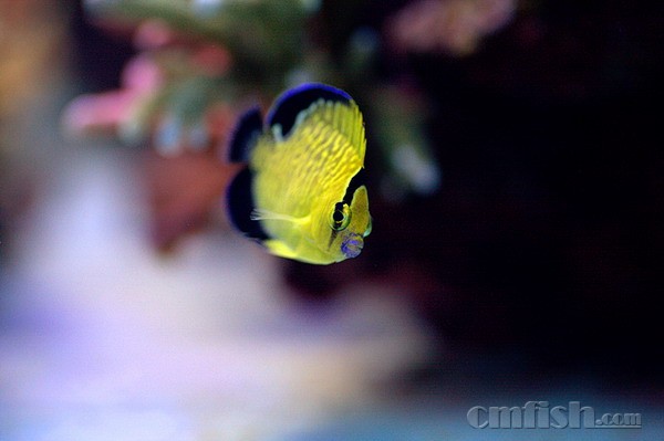 _MG_8158_���� (5).jpg