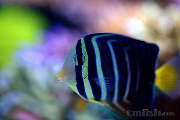 _MG_8167_副本 (9).jpg
