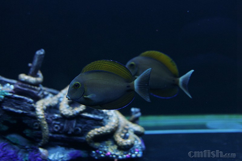 �Զ�װ�Ȳ���