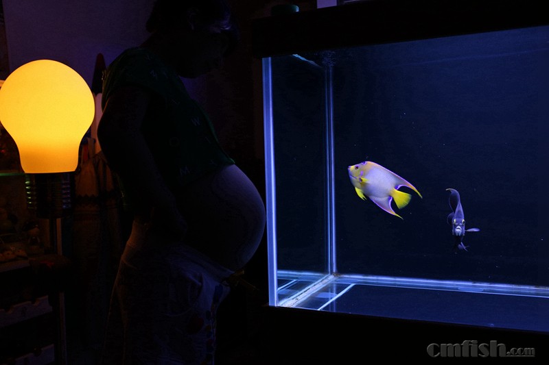 ��Ů�����ڵȡ�Ů����