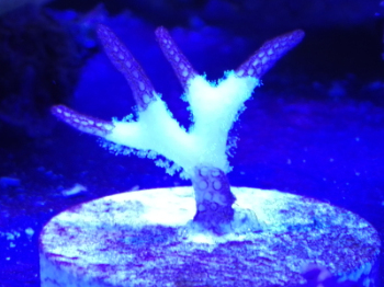 ������еľ���