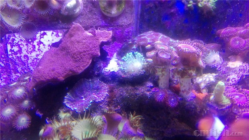 ��Ƥ Ŧ��.jpg