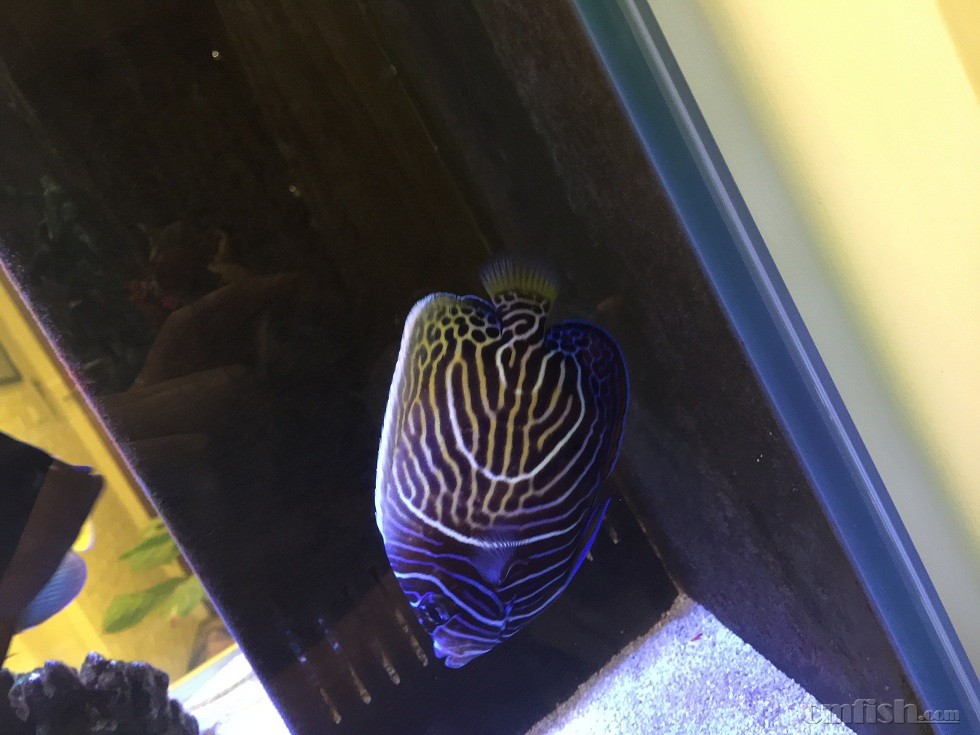 �ڵ�׃���� �}Ȧ