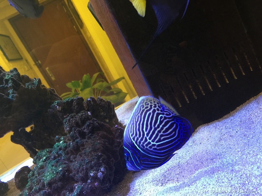 �_ʼ׃�˹�......