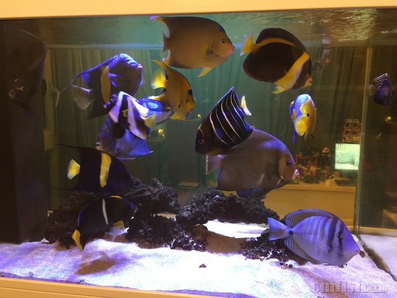 ��Ƭ 5-9-2015 ����7 14 54.jpg