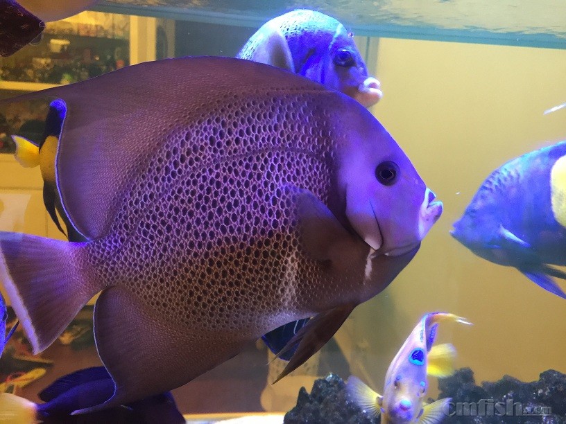 ��Ƭ 5-9-2015 ����7 15 31.jpg