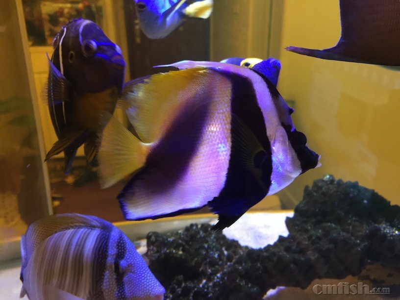 ��Ƭ 5-9-2015 ����7 16 44.jpg