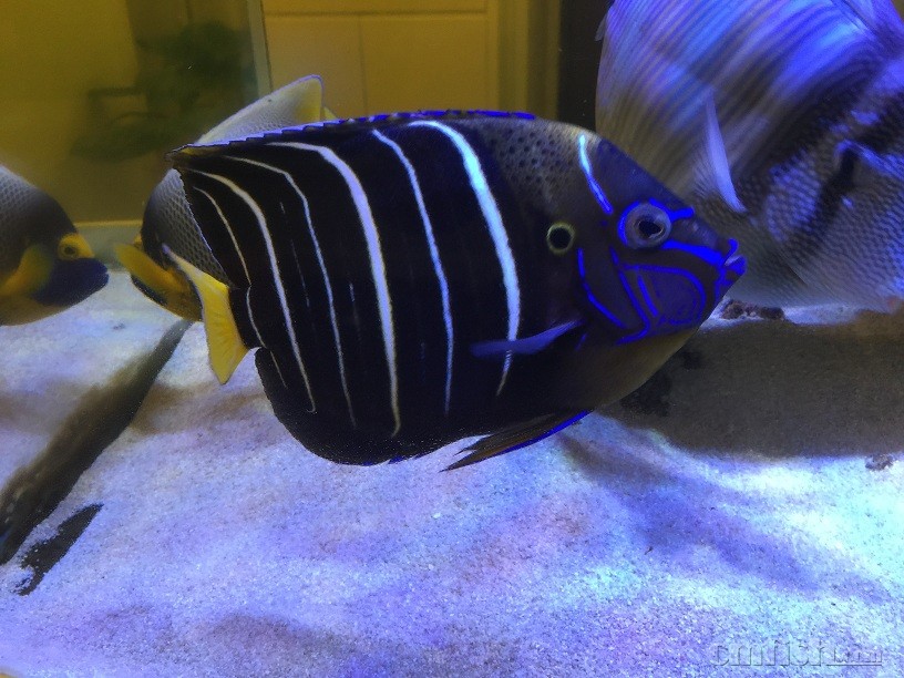 ��Ƭ 5-9-2015 ����7 17 36.jpg