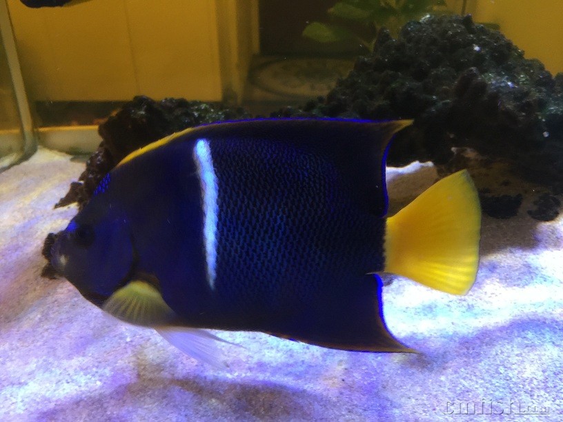 ��Ƭ 5-9-2015 ����7 17 53.jpg