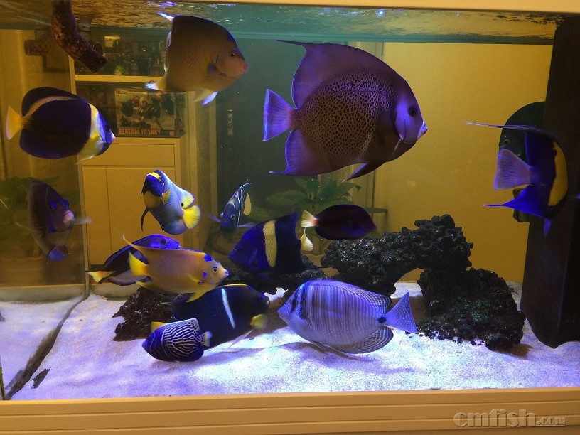 ��Ƭ 5-9-2015 ����7 18 27.jpg