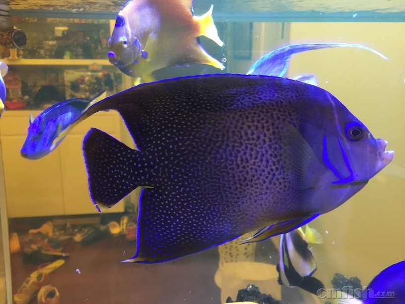 ��Ƭ 5-9-2015 ����7 18 34.jpg