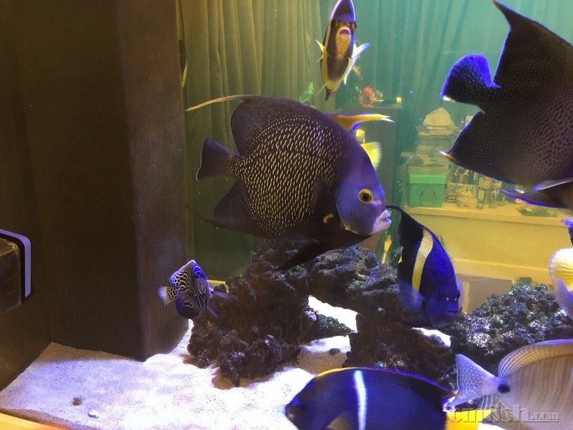 ��Ƭ 5-9-2015 ����7 21 42.jpg