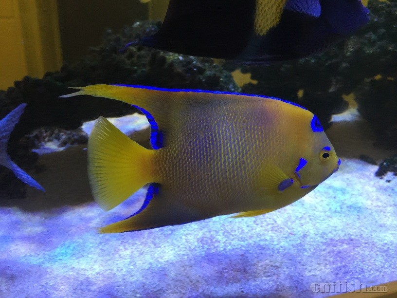 ��Ƭ 5-9-2015 ����7 23 52.jpg