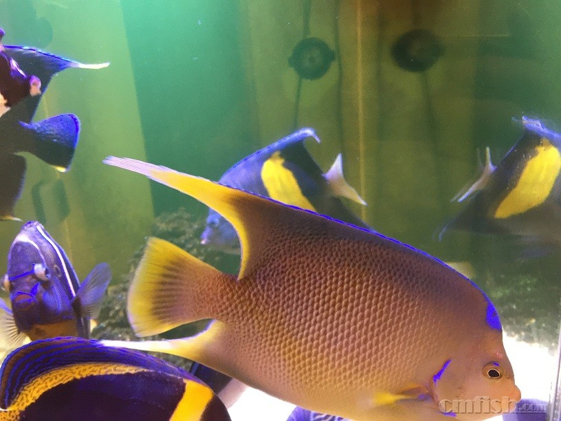 ��Ƭ 5-9-2015 ����7 24 17.jpg