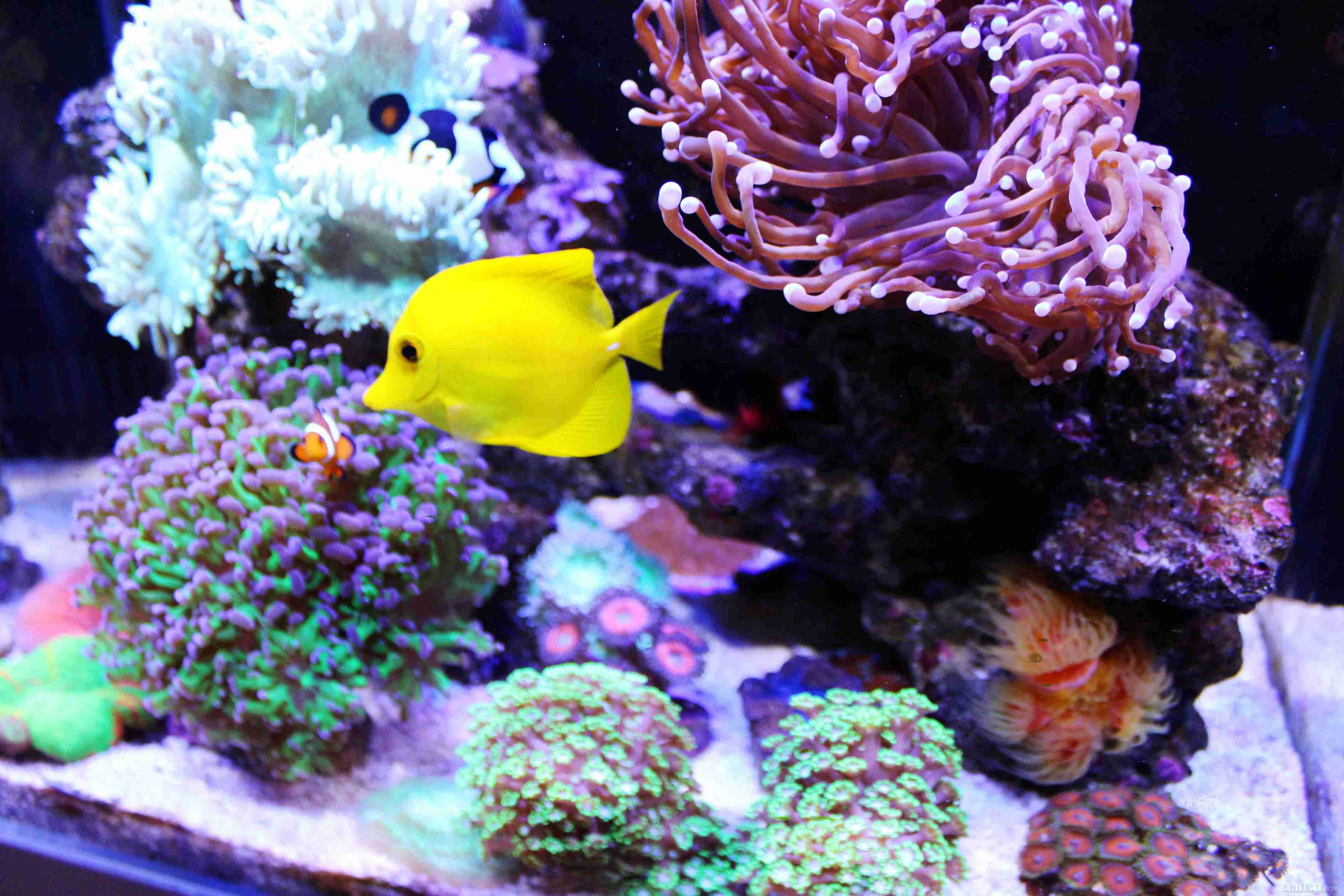 С�ױȽ�ϲ����һ����Ƭ