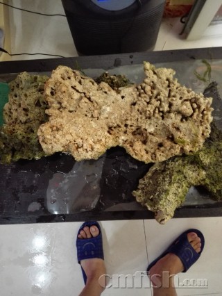 �������ǲ����ƺ�ɺ������ʯͷ��