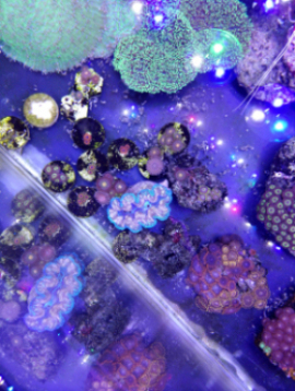 ���˿���˵���������ŵ��ۣ��Ҳ����ͣ����ҵ���Ȼ���ס�