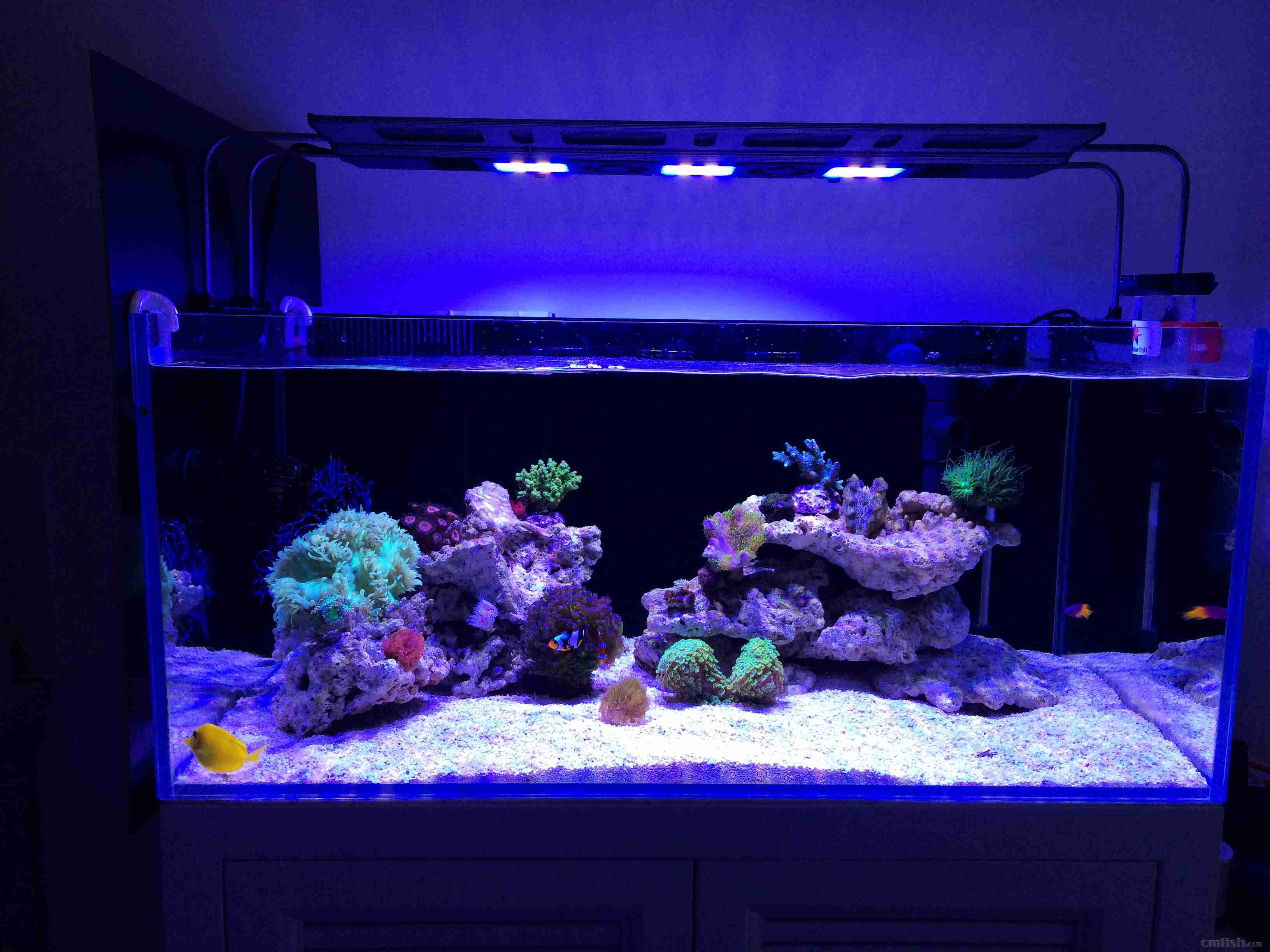 ����2B���������ˣ�