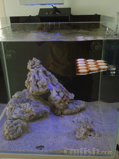 ���ڸտ�����ĸ���