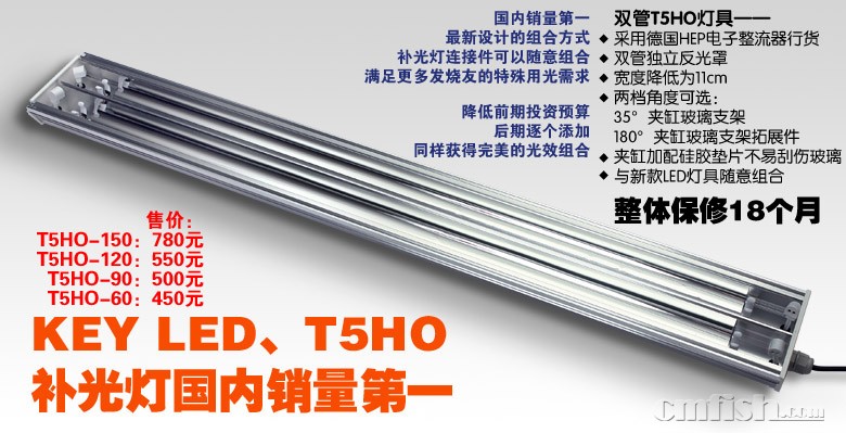 T5HO-补光灯-01.jpg