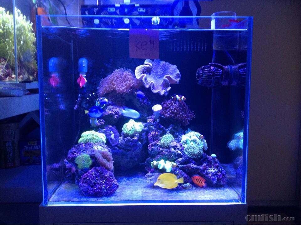 ϣ����ϣ����