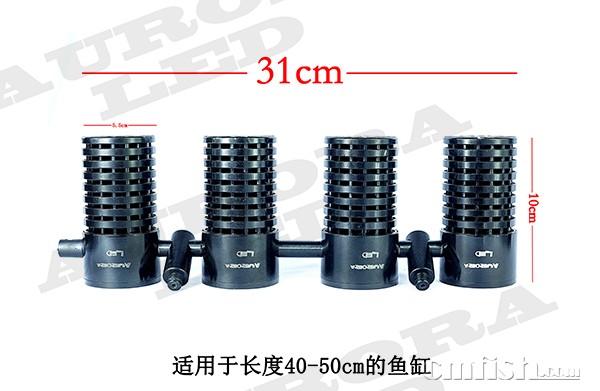 IMG_9898 ����.jpg