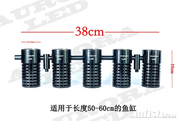 IMG_9901 ����.jpg