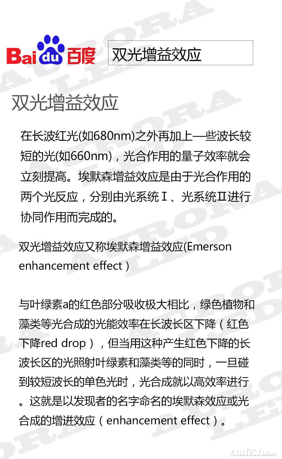 ˫������ЧӦ ����.jpg