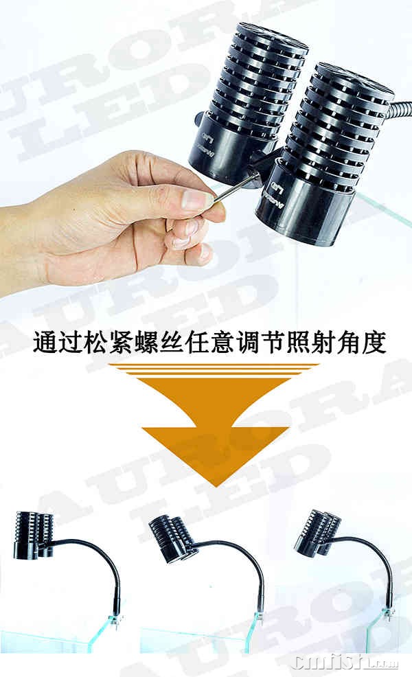 IMG_9981 ����.jpg