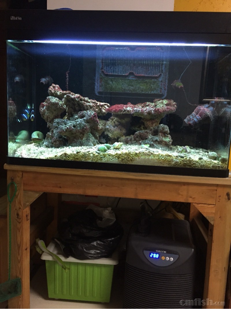 搬家,红海缸全套出,5000