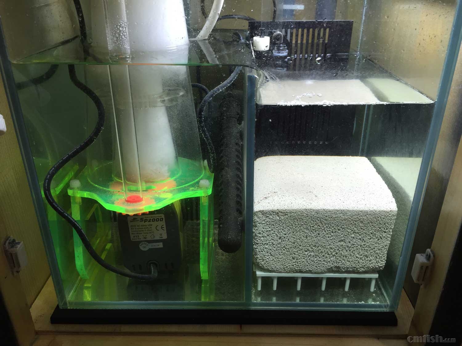 开50方底滤缸,正儿八经的写个日记,定期更新(11月17日刷缸造景)