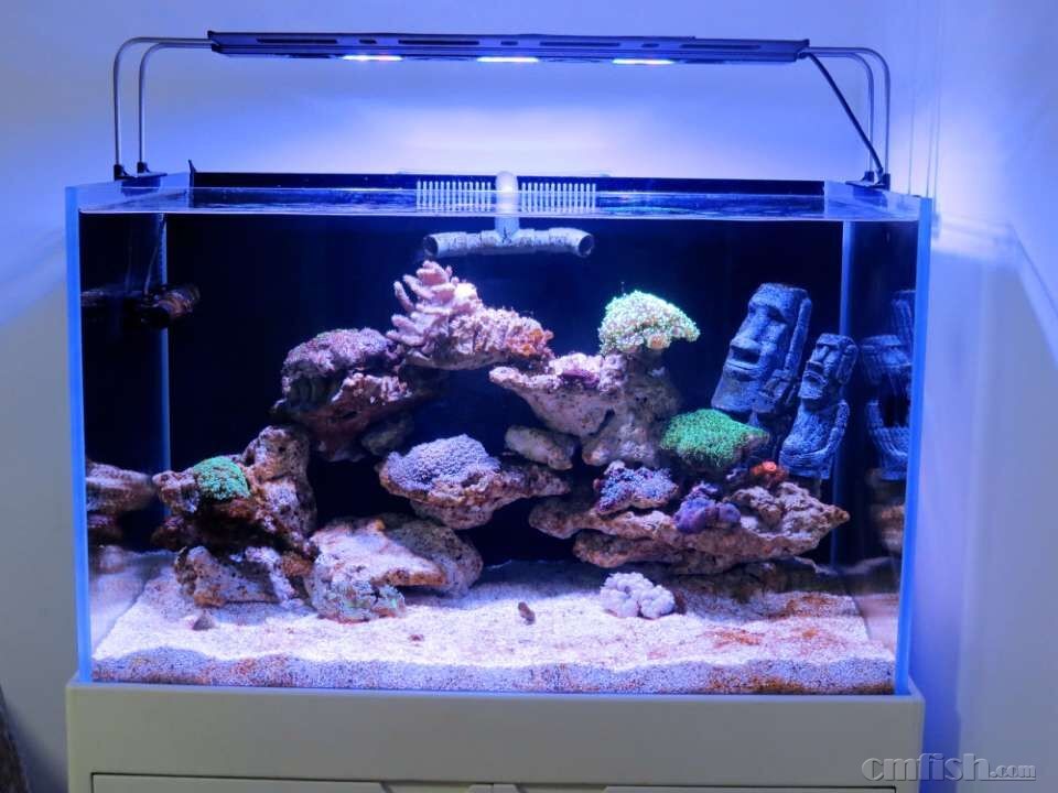 �ƺ�ɫ��ɳ�Ӻ������ۿ���