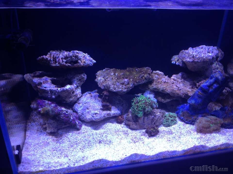 ���������ʯͷ