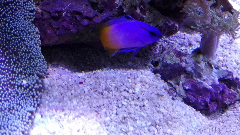 ��������(�����У�