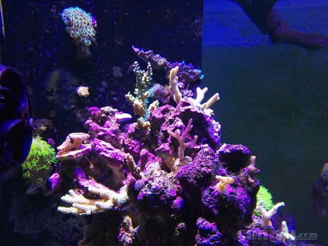 IMG_20151206_111304.jpg