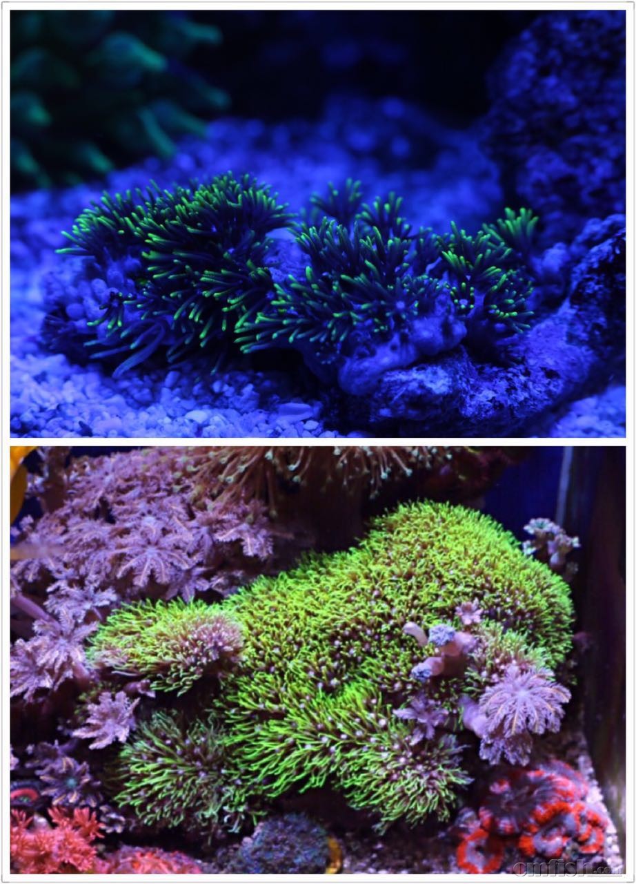 595030164908927345 - ����.jpg