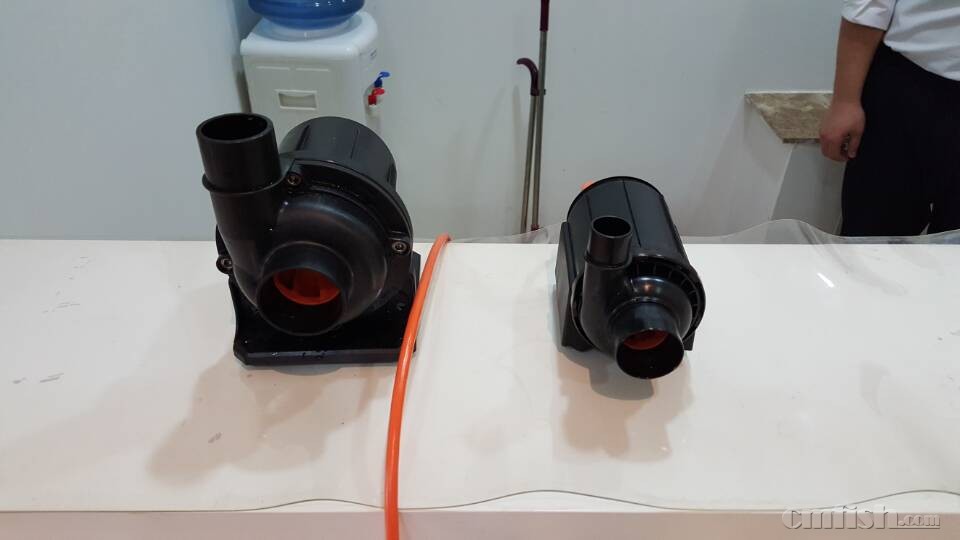 A200����Ա�A100