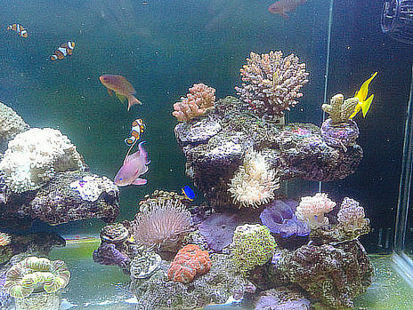 20151209_142934.jpg