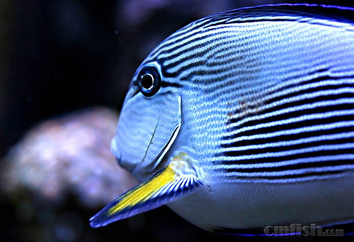 _85A6877 ����.jpg