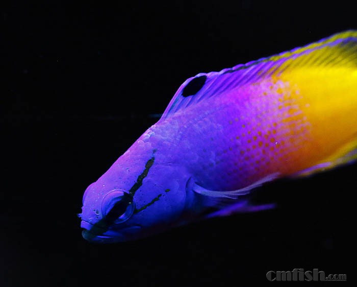 _85A6892 ����.jpg