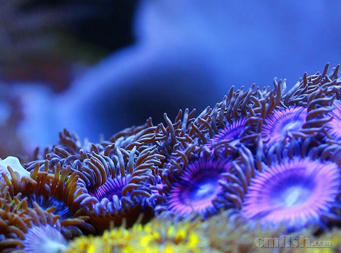 _85A7003 ����.jpg