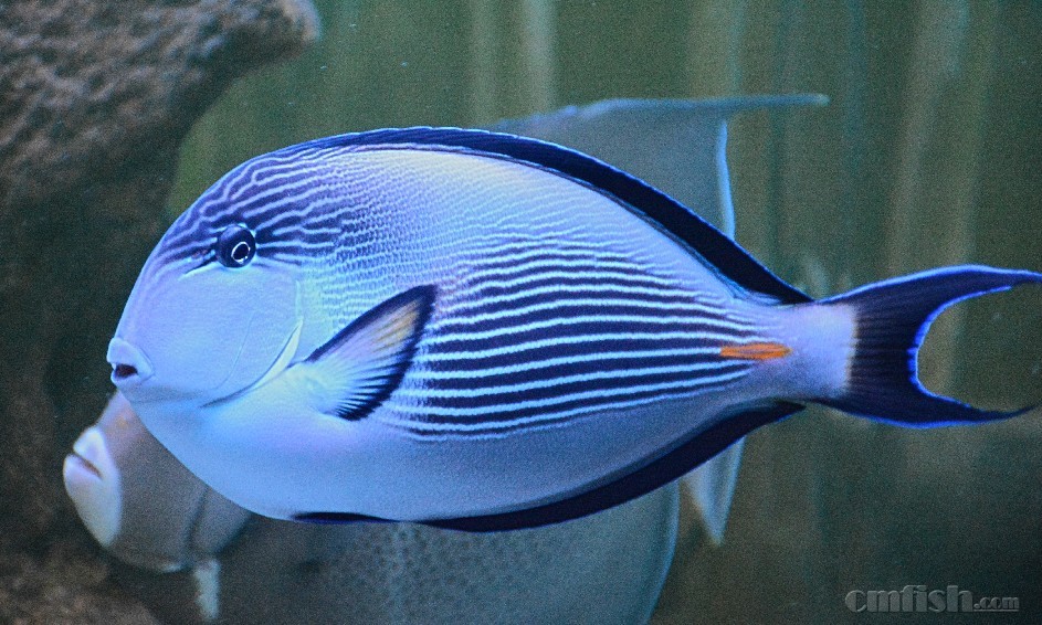 25+�캣��ʿ-����