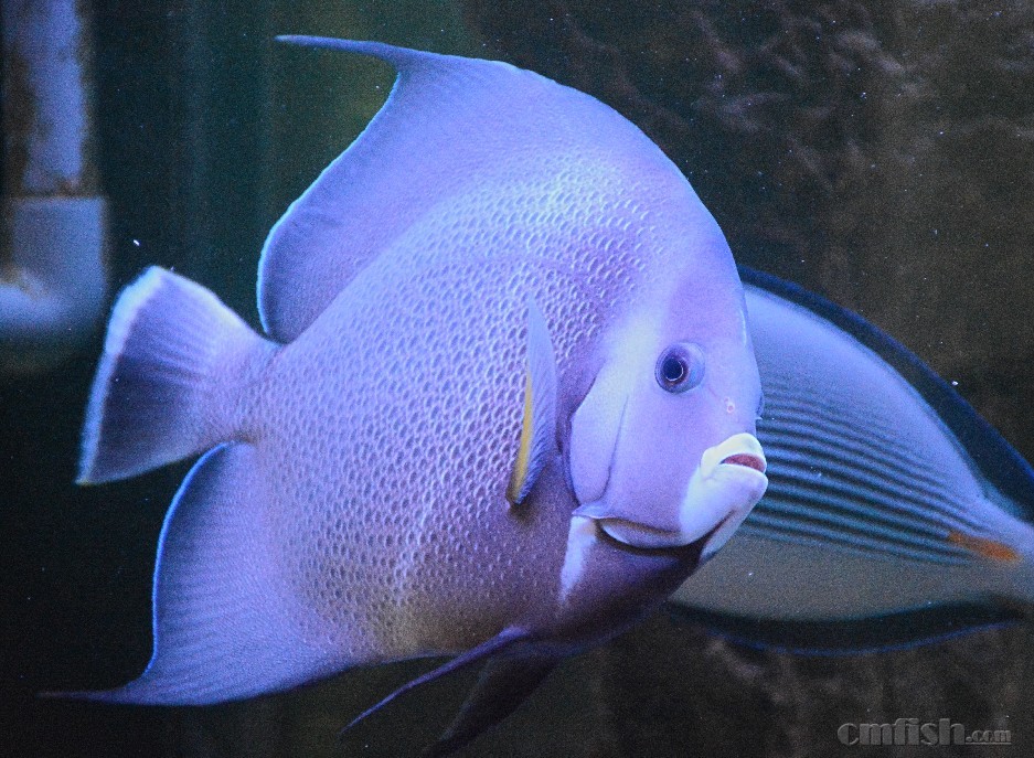 25+���ɣ����