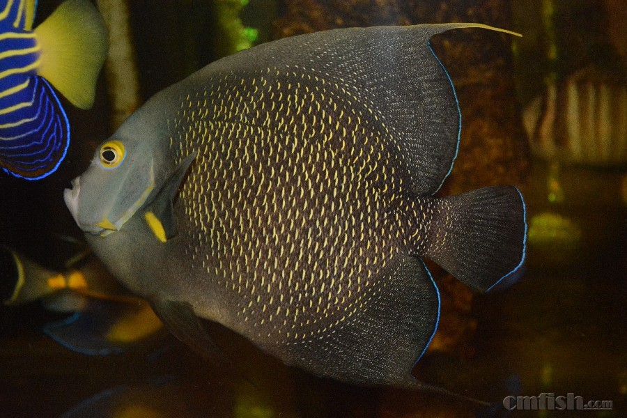 25+�������ɣ����骣���Ȼ������